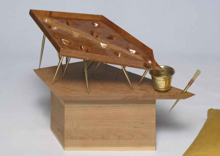 Miné Kleyhans | 2024 Overall Winner