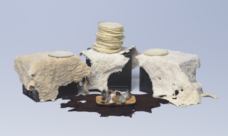 Snelihle Asanda Maphumulo | 2024 Merit Award Winner