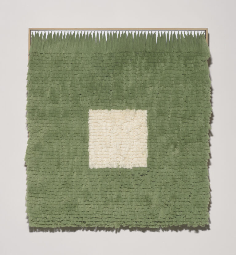 Vian Mervyn Roos (Pretoria) | 2025 Merit Award Winner